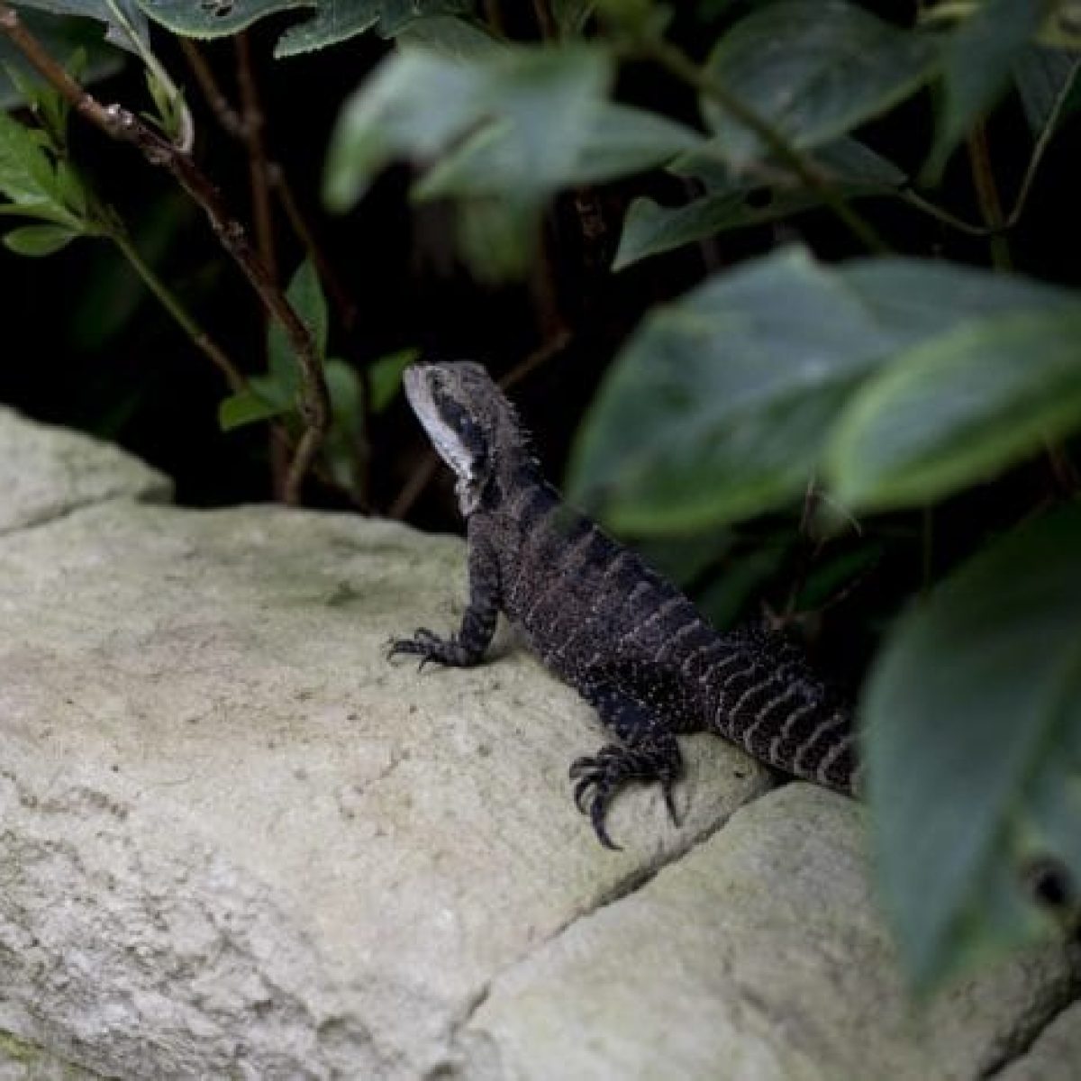 SG-SUTTON_PB-19-04-2017__0263-700x467