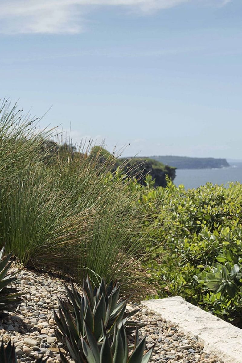 SG-Windy-gardens-BERMEISTER