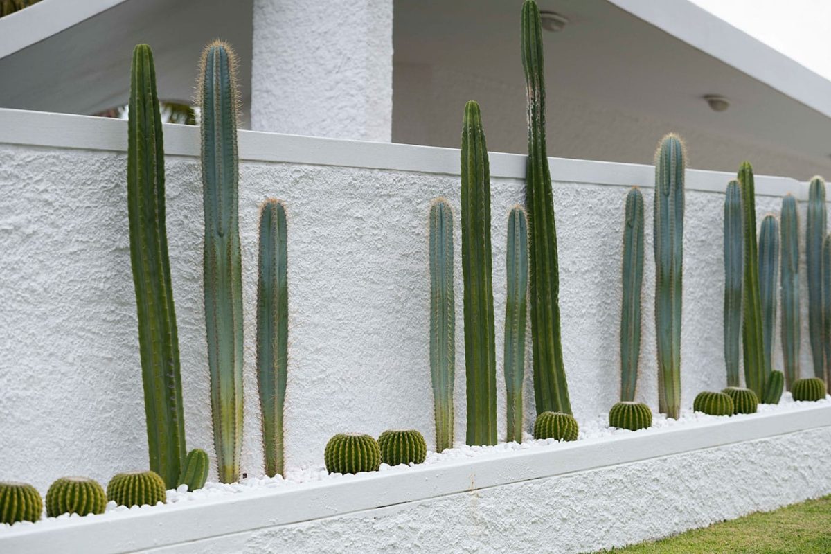 SG-matching-garden-003