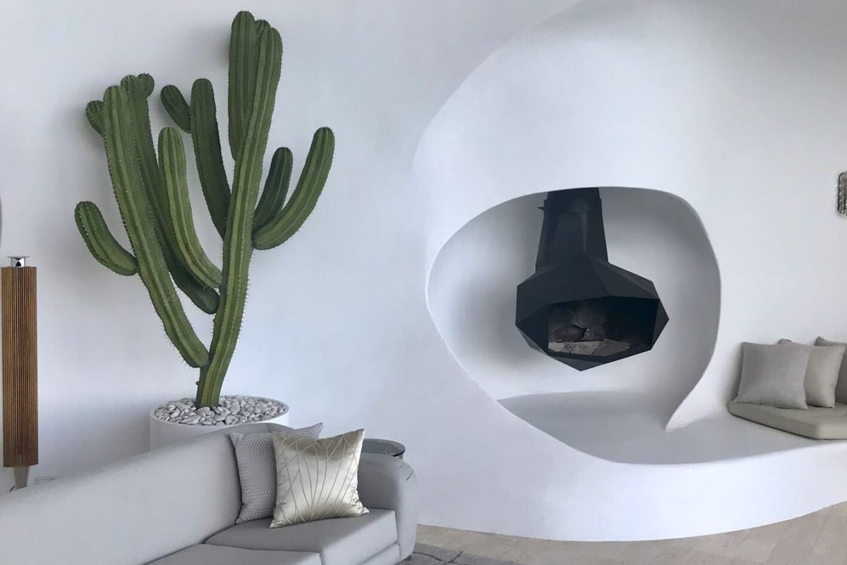 SG_Indoor_Plants_001