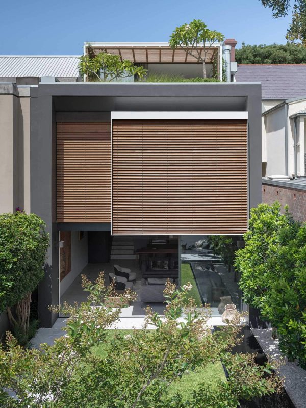Dark rendered house facade with large timber louvred shutters, roof terrace garden with Frangipani and courtyard garden below, landscape architecture Woollahra