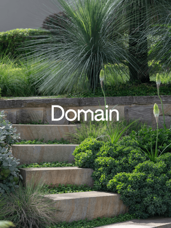 domain-July-2026