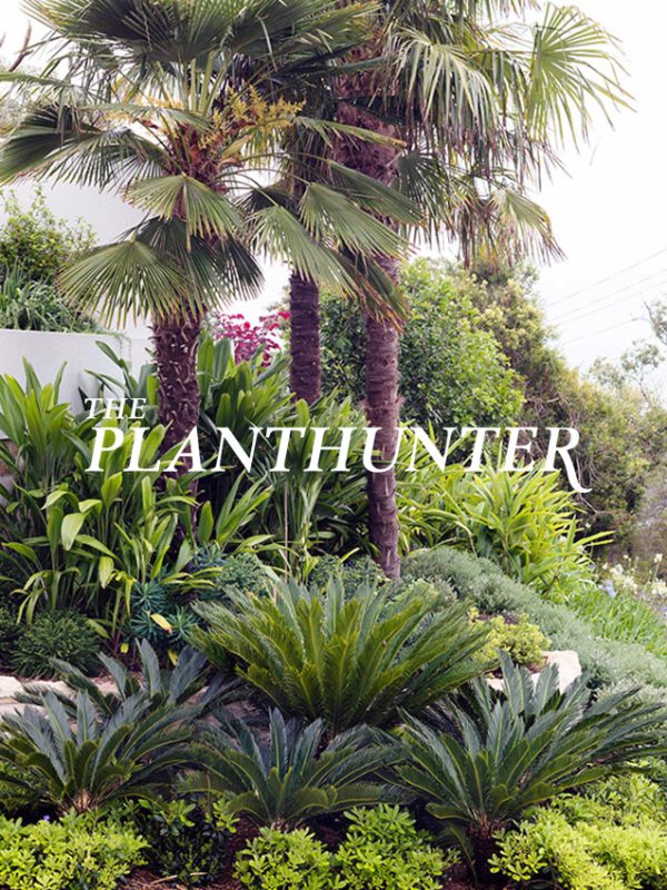 planthunter_2